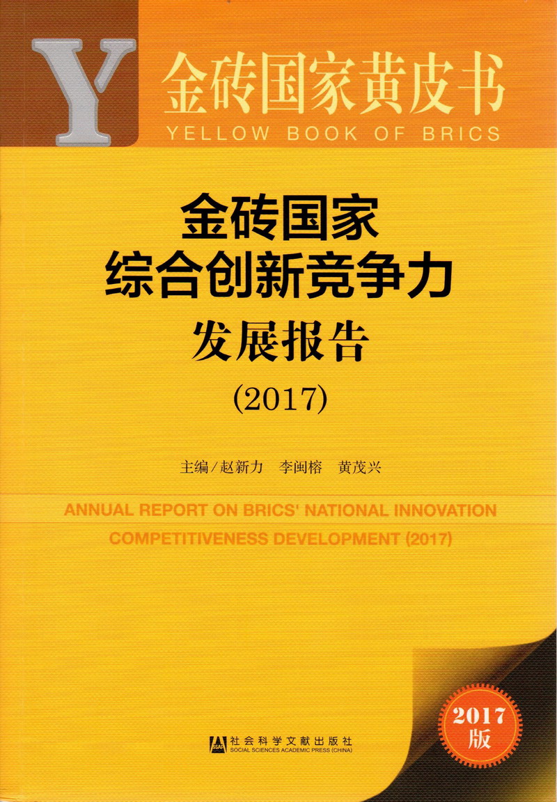 日本舔逼视频金砖国家综合创新竞争力发展报告（2017）